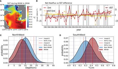 The local stratification preconditions the marine heatwaves in the Yellow Sea